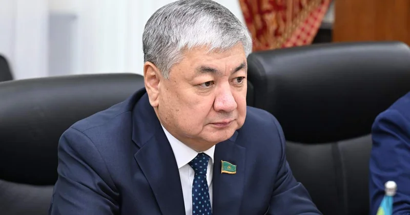 Сенатор Қорғас шекара маңы орталығы жұмысындағы мәселені айтты