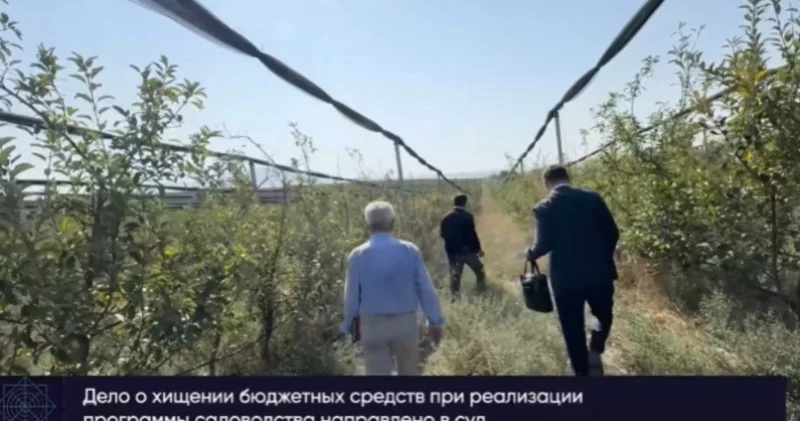 Шымкенттегі алма бақтарына қатысты шулы іс сотқа жетті
