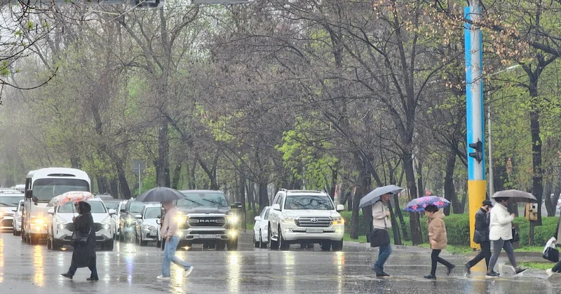 Мощный ливень накроет Алматы