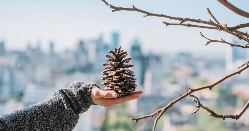 Бүгін еліміздің барлық қаласында ауа сапасы талапқа сай синоптиктер болжамы