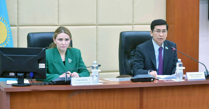 Проблемы развития инклюзивного образования обсудили в Мажилисе