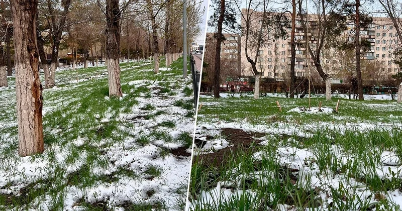 Сәуірдің тосын мінезі: Қарағандыда қар жауды