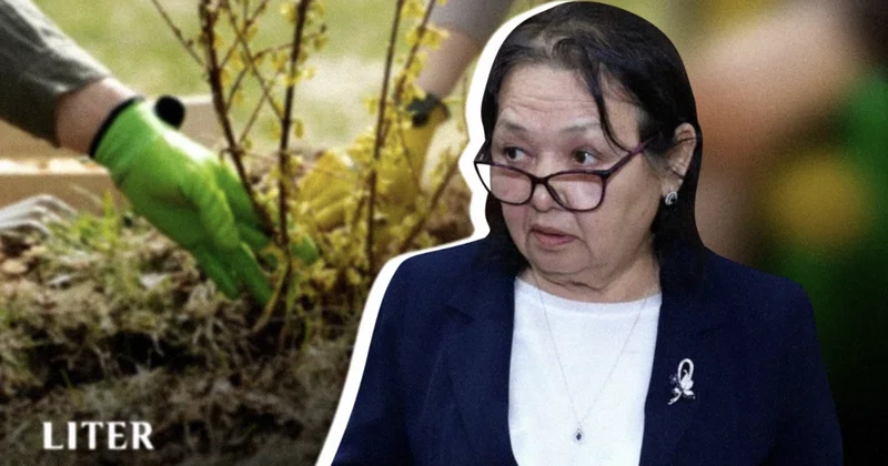 Цифровой учет вместо слепого озеленения: как в Мангистау пытаются спасти города от засушливого климата