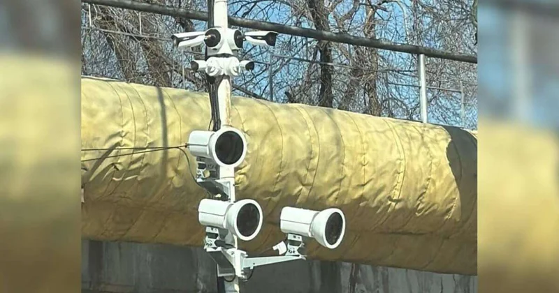 Алматыда телефон қолданған 1200 ден астам жүргізушіні анықтады