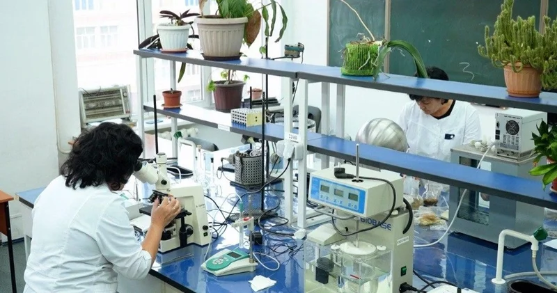 Қазақстандық ғалымдар хризотил асбест қалдықтарын қайта өңдеу технологиясын әзірледі