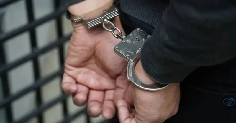 Батыс Қазақстанда ветеринарлардың көмегімен мал ұрлаған ұйымдасқан топ әшкереленді