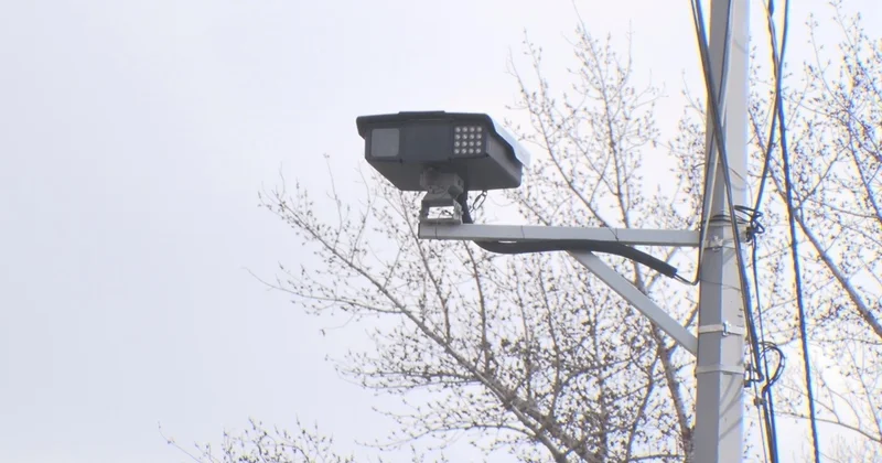 Павлодар облысында Қауіпсіз қала жобасынан шикілік шығып, қылмыстық іс қозғалды