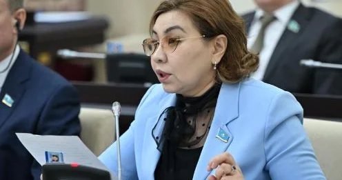 Цирфлық қызмет: Депутат тәуелсіз қызметкер мәртебесін бекітуді ұсынды