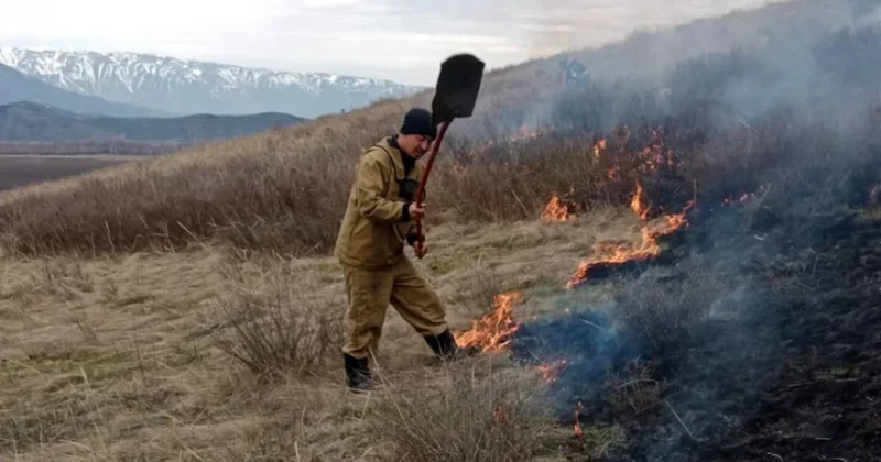 8 гектаров сухой травы загорелись в ВКО