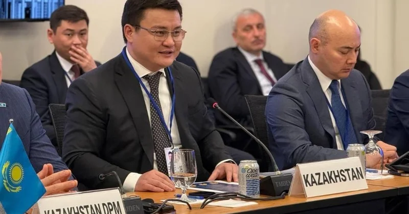 Қазақстанның тұрақты экономикалық өсімді қамтамасыз ету бағытындағы реформаларының тиімділігі неде