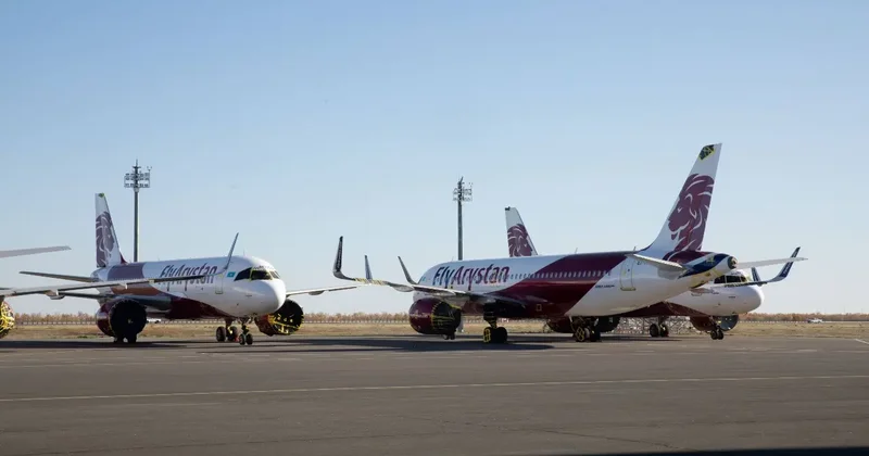 Самолёт сбил собаку после посадки в Шымкенте