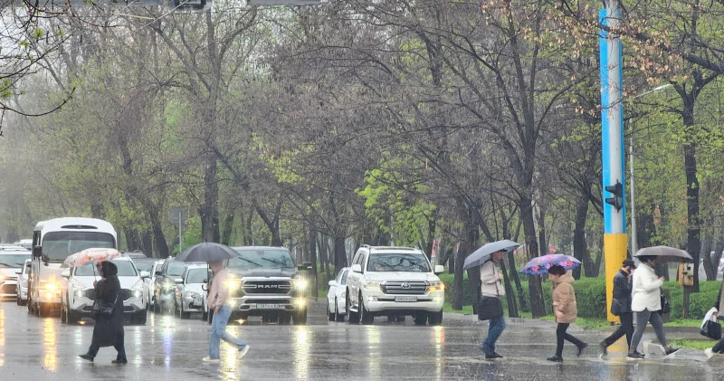 Алматы екі күндік нөсер жаңбырға дайындалуда