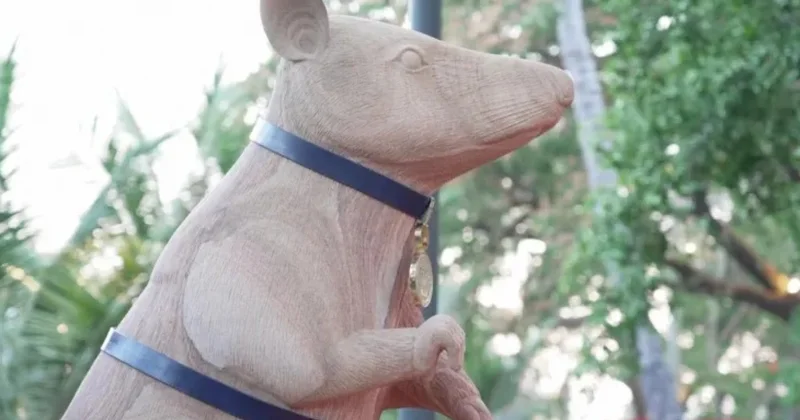 Крысе сапёру, потенциально спасшей множество жизней, установили памятник в этой стране