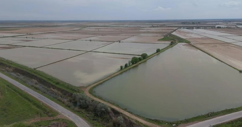 Түркістан облысында сор шаю үшін 400 млн текше метр су берілді