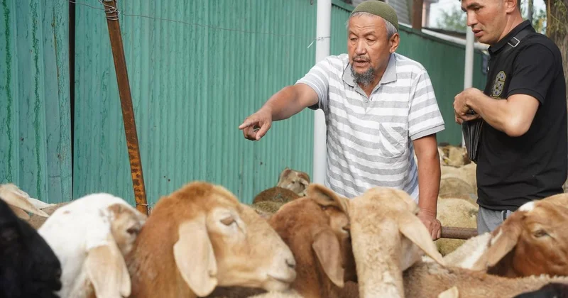 Выходной среди недели: будут ли отдыхать казахстанцы в первый день Курбан айта