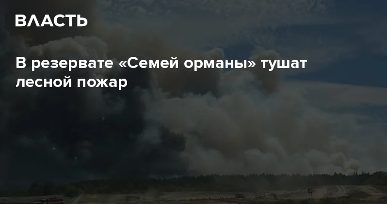В резервате Семей орманы тушат лесной пожар Аналитический интернет журнал Власть