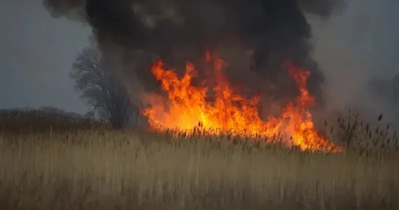 Ақмола облысында бір тәулікте 67 гектар жер өртенді