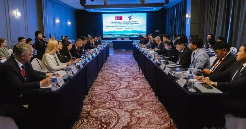 ЕАЭО мен Моңғолия 2027 жылға ет жеткізу көлемін белгіледі