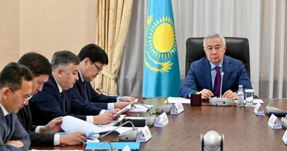 Доля теневой экономики в Казахстане снизилась правительство