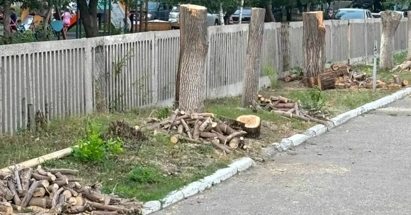 Арифметика с топором