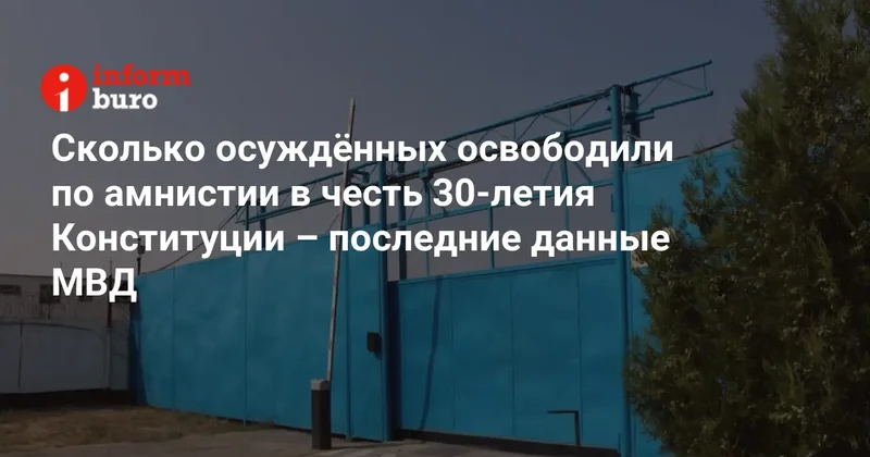 Сколько осуждённых освободили по амнистии в честь 30 летия Конституции последние данные МВД
