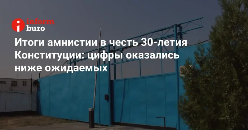 Итоги амнистии в честь 30 летия Конституции: цифры оказались ниже ожидаемых