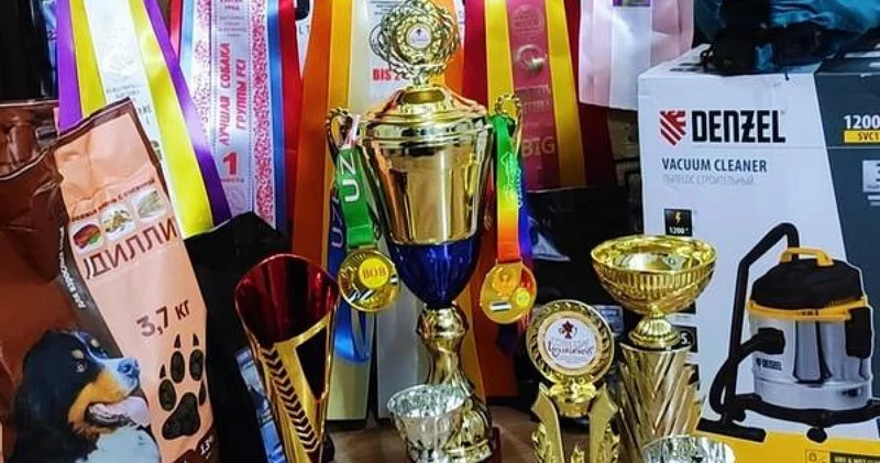 Тайған иті Қазақстандағы ең үздік тұқым өкілі деп танылды