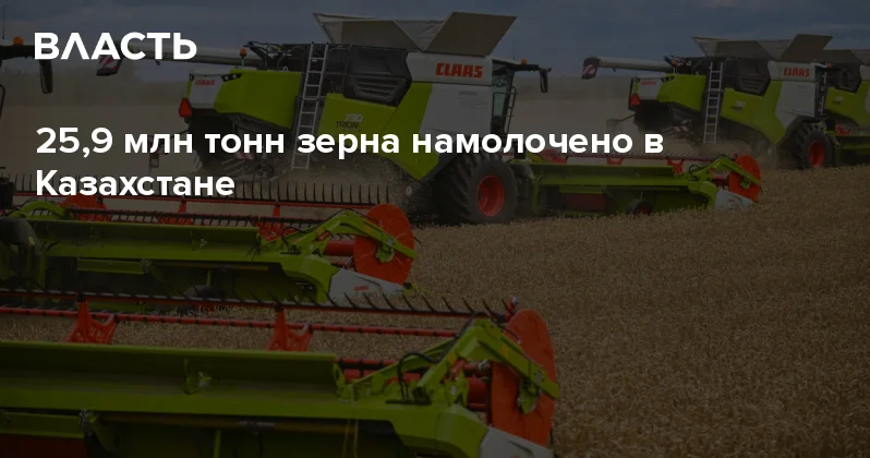 25,9 млн тонн зерна намолочено в Казахстане Аналитический интернет журнал Власть