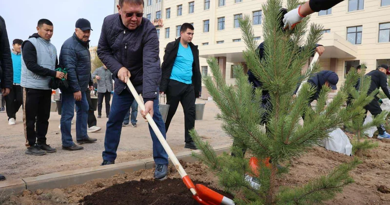 Чистота как образ жизни