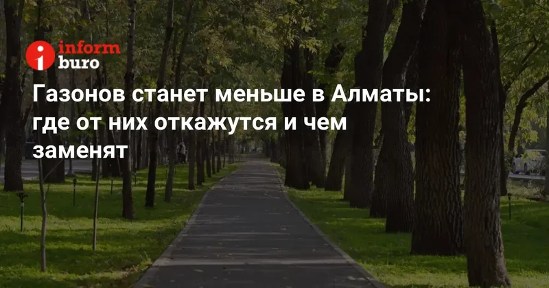 Газонов станет меньше в Алматы: где от них откажутся и чем заменят