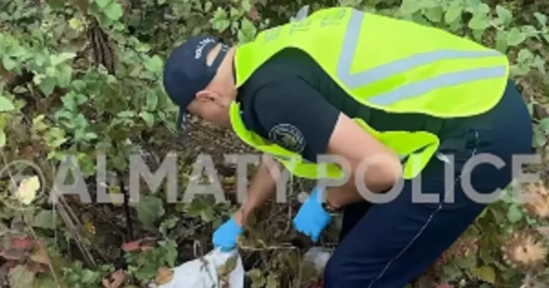 Опасная находка в дачных массивах у гор Алматы заинтриговала полицейских (видео)