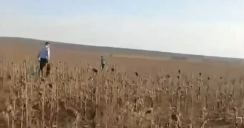 Ребенка нашли в поле на востоке Казахстана