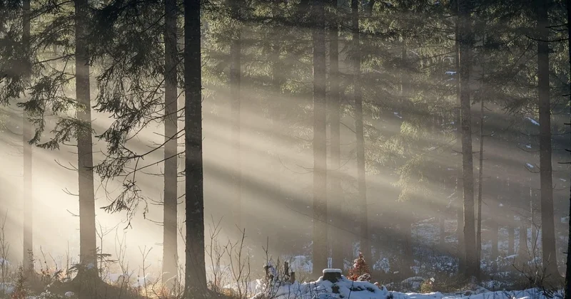 Туманы накроют Казахстан 16 ноября