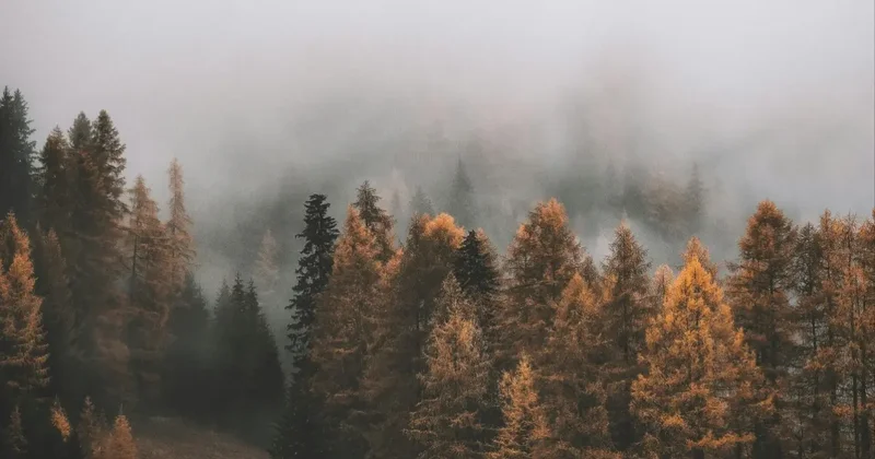 Прогноз погоды на 16 ноября: переменная облачность сохранится на большей части территории Казахстана