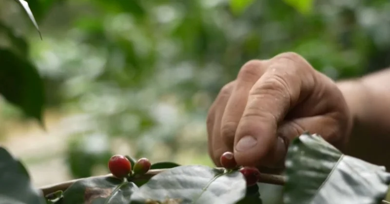 Трамп 200 ден аса тауарға тарифті азайтты