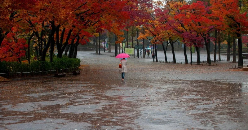 Погода в Шымкенте резко меняется: ночью почти ноль, днем до +23