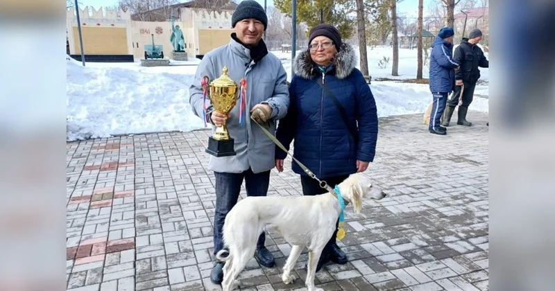 Жетісулық отбасы ұлттық тазы тұқымын жаңғыртып жүр