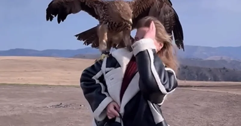 Орел едва не лишил глаза модель на фотосессии