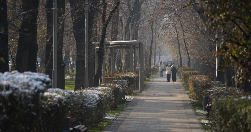 Теплое воскресенье обещают синоптики жителям мегаполисов Казахстана