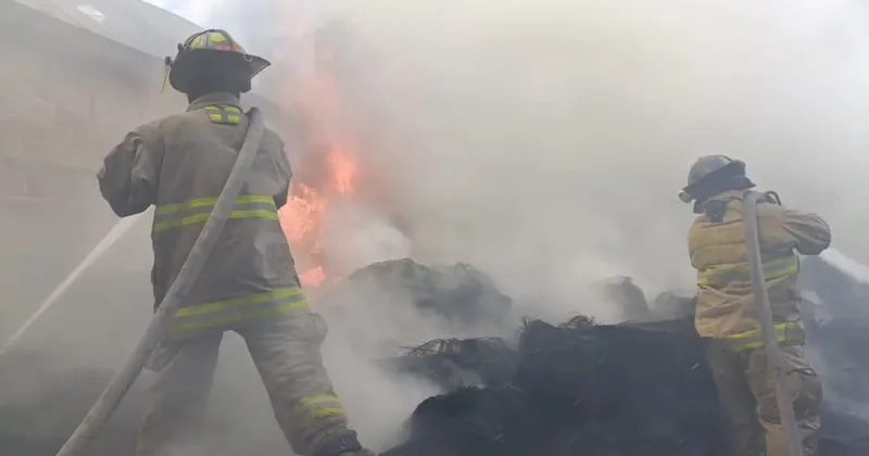 Частный самолёт упал в Мексике: все находившиеся на борту люди погибли