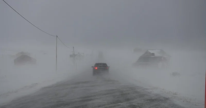 Два авто в метель столкнулись на трассе в Акмолинской области: пострадали семь человек