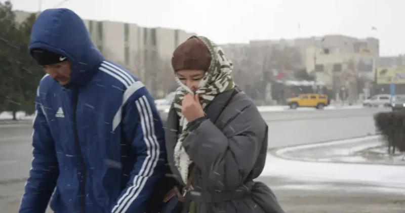 Ақтау тұрғындары иіске шағымданды: тексеріс басталды