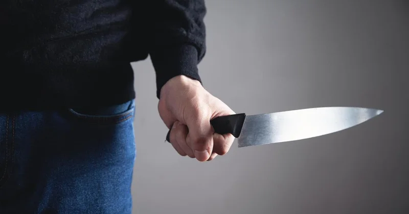 Подросток с ножом напал на учеников в одной из школ России (видео)