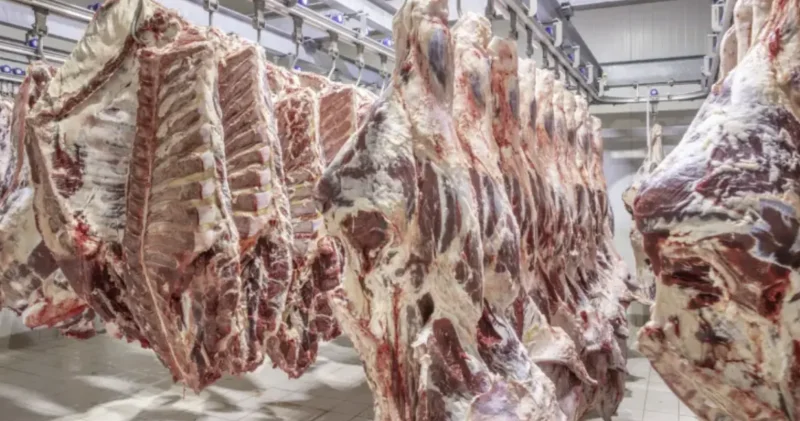 Қазақстанда сиыр етін экспорттауға шектеу қойылды: министр себебін түсіндірді