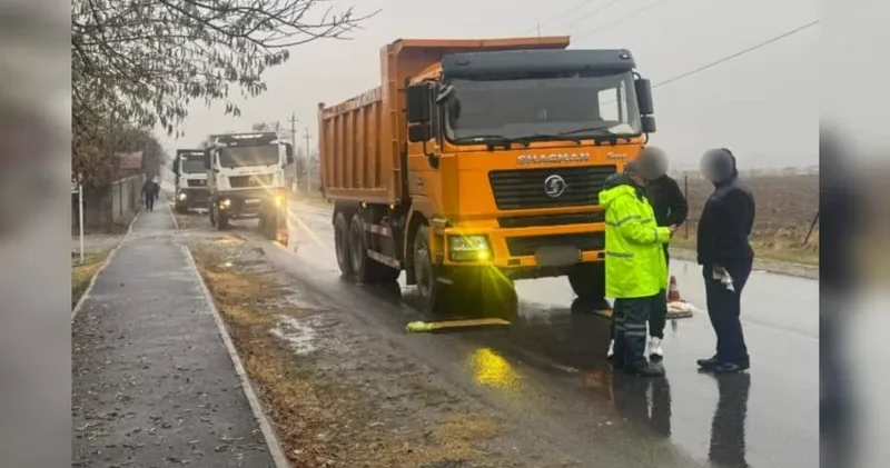 Түркістан облысында табиғи ресурстарды заңсыз тасымалдаған 15 жүк көлігі анықталды