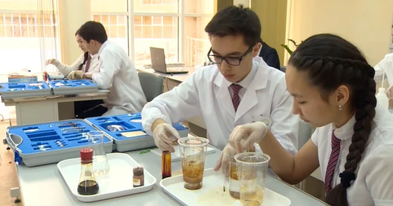 Білім мен медицина салалары реформаланады