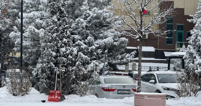 Алматыда 15 сантиметрден астам қар жауды