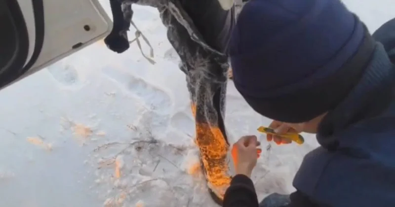 Екібастұзда мұз ойылып, суға кеткен балықшылар құтқарылды