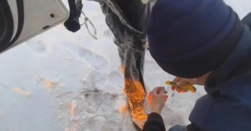 Разрезали штанины ножницами: автомобиль с четырьмя рыбаками провалился под лёд в Павлодарской области