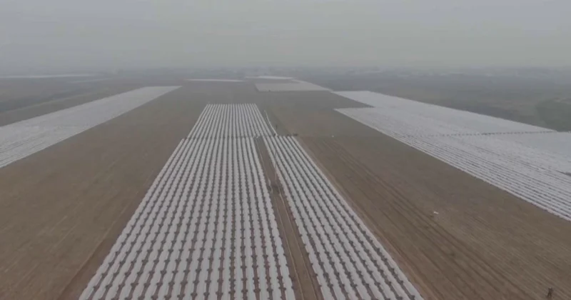 Түркістан облысында ерте пісетін көкөніс егіліп жатыр